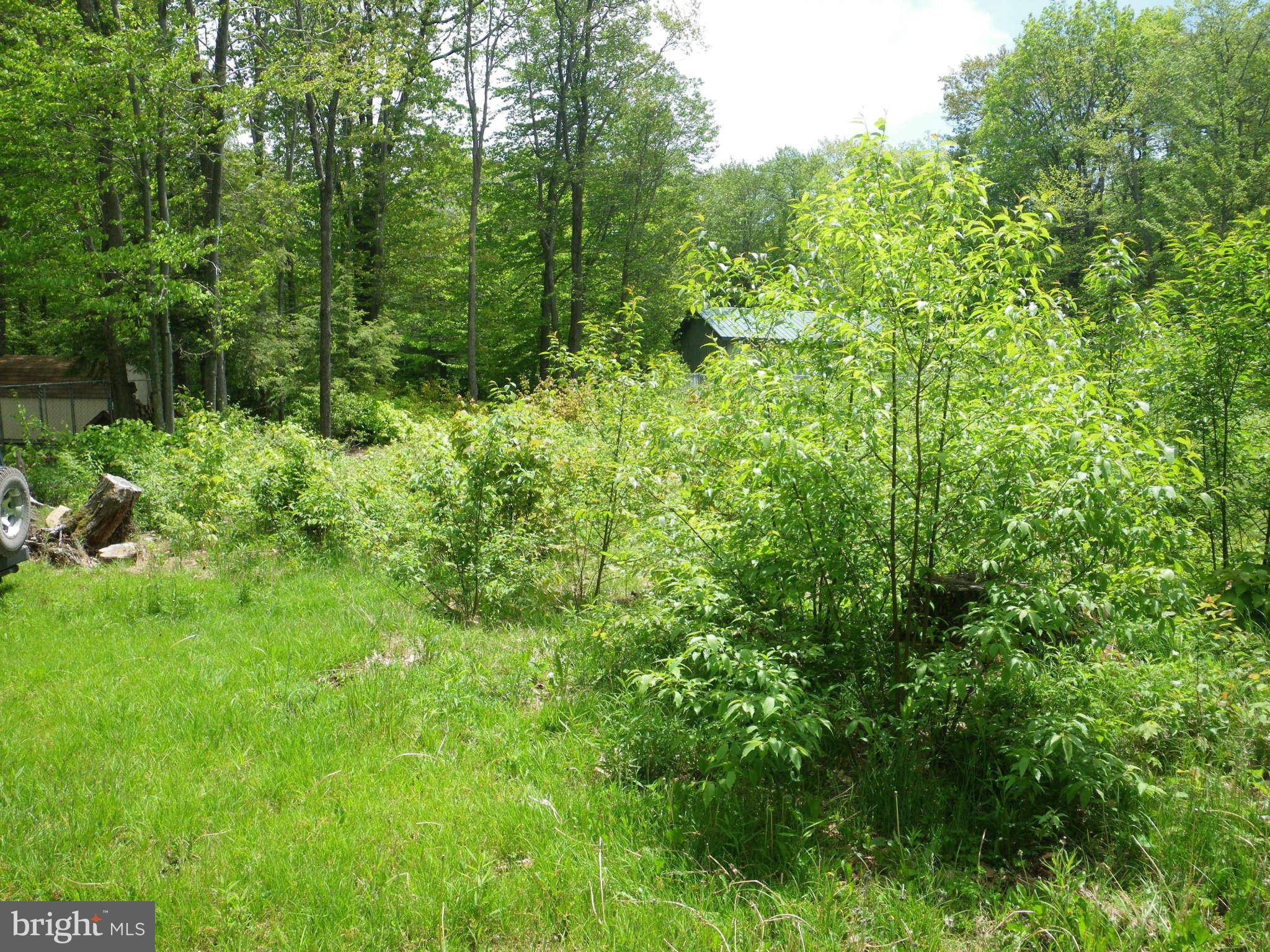 Mount Storm, WV 26739,41 SPRUCE RDG