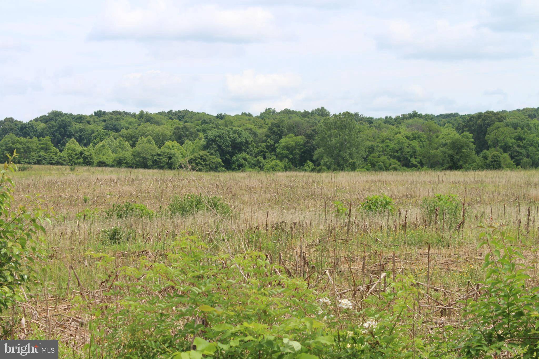 White Post, VA 22663,WHITE POST RD