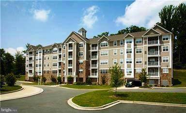 Bel Air, MD 21015,901 MACPHAIL WOODS XING #3E