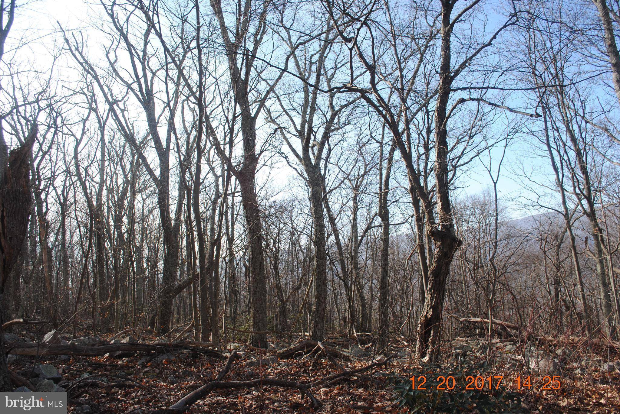 Maysville, WV 26833,LOT 30 PANTHER RD