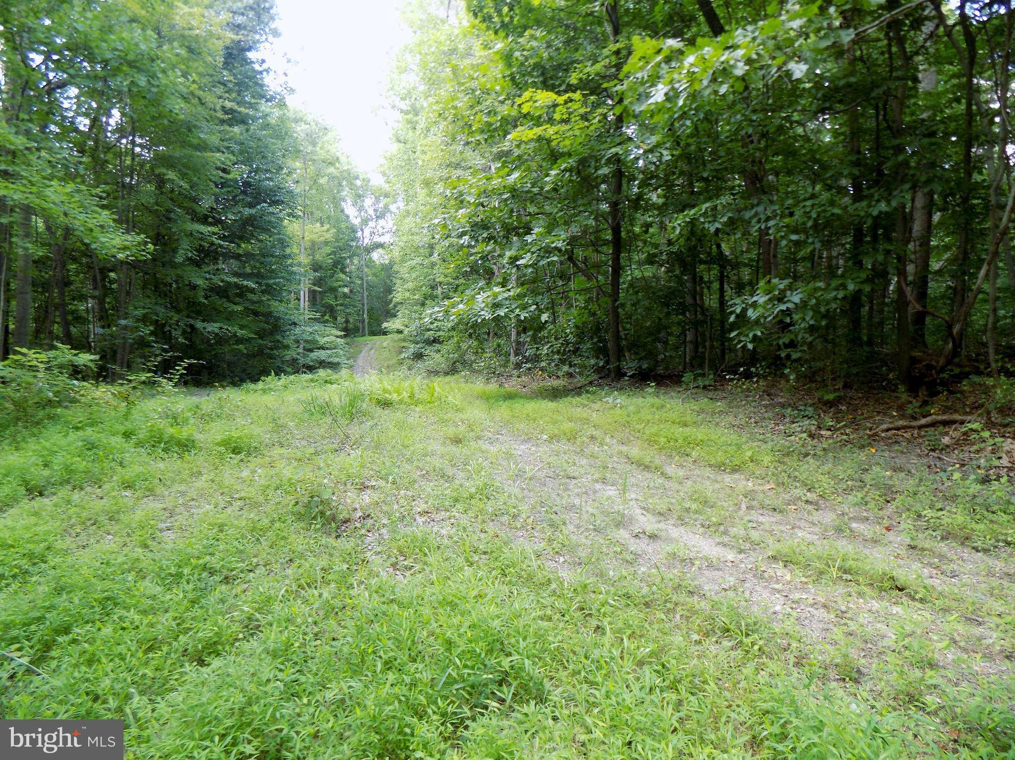 Boyce, VA 22620,0 FROGTOWN RD