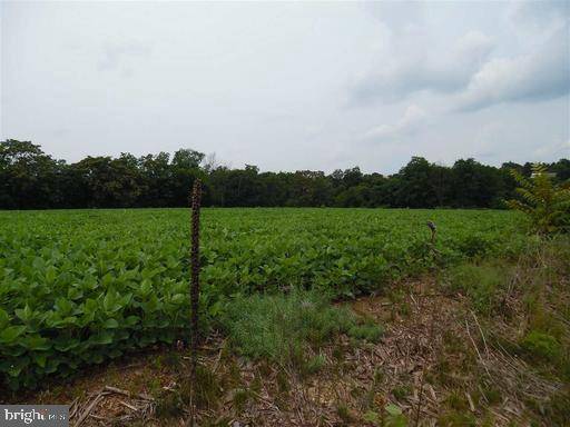 Mount Aetna, PA 19544,LOT 3 STOUCHSBURG RD