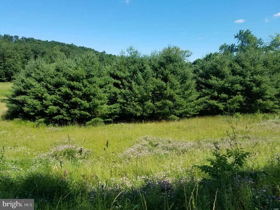 New Bloomfield, PA 17068,LOT 7 SANDY HOLLOW RD