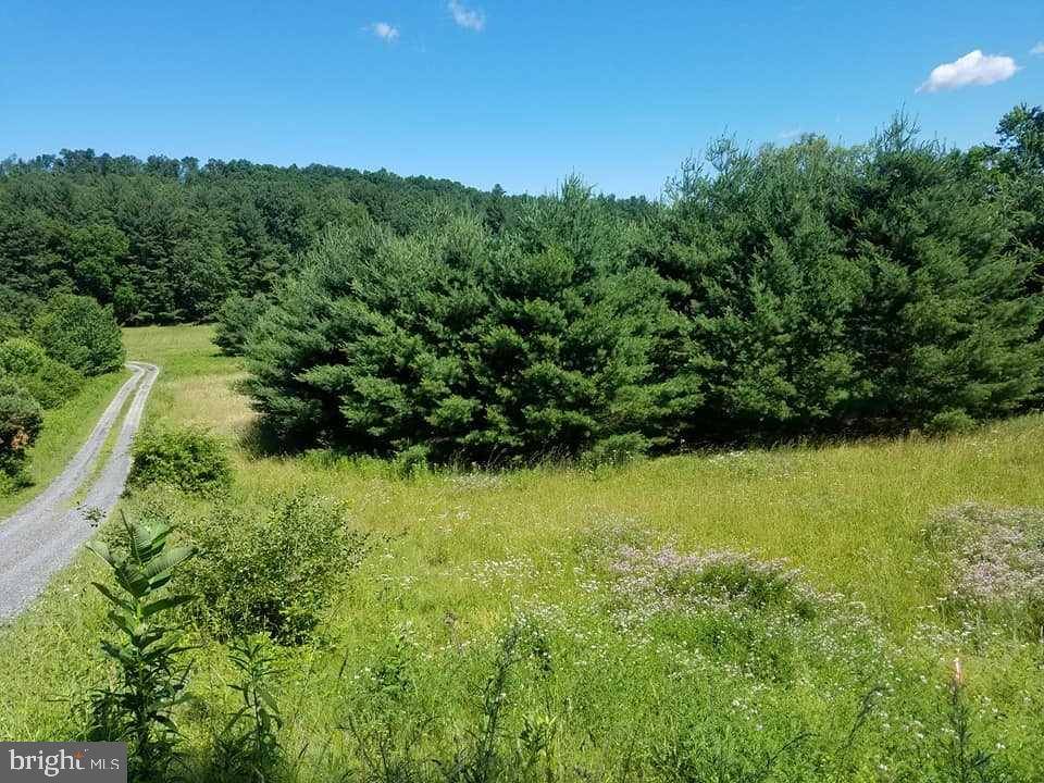 New Bloomfield, PA 17068,LOT 7 SANDY HOLLOW RD