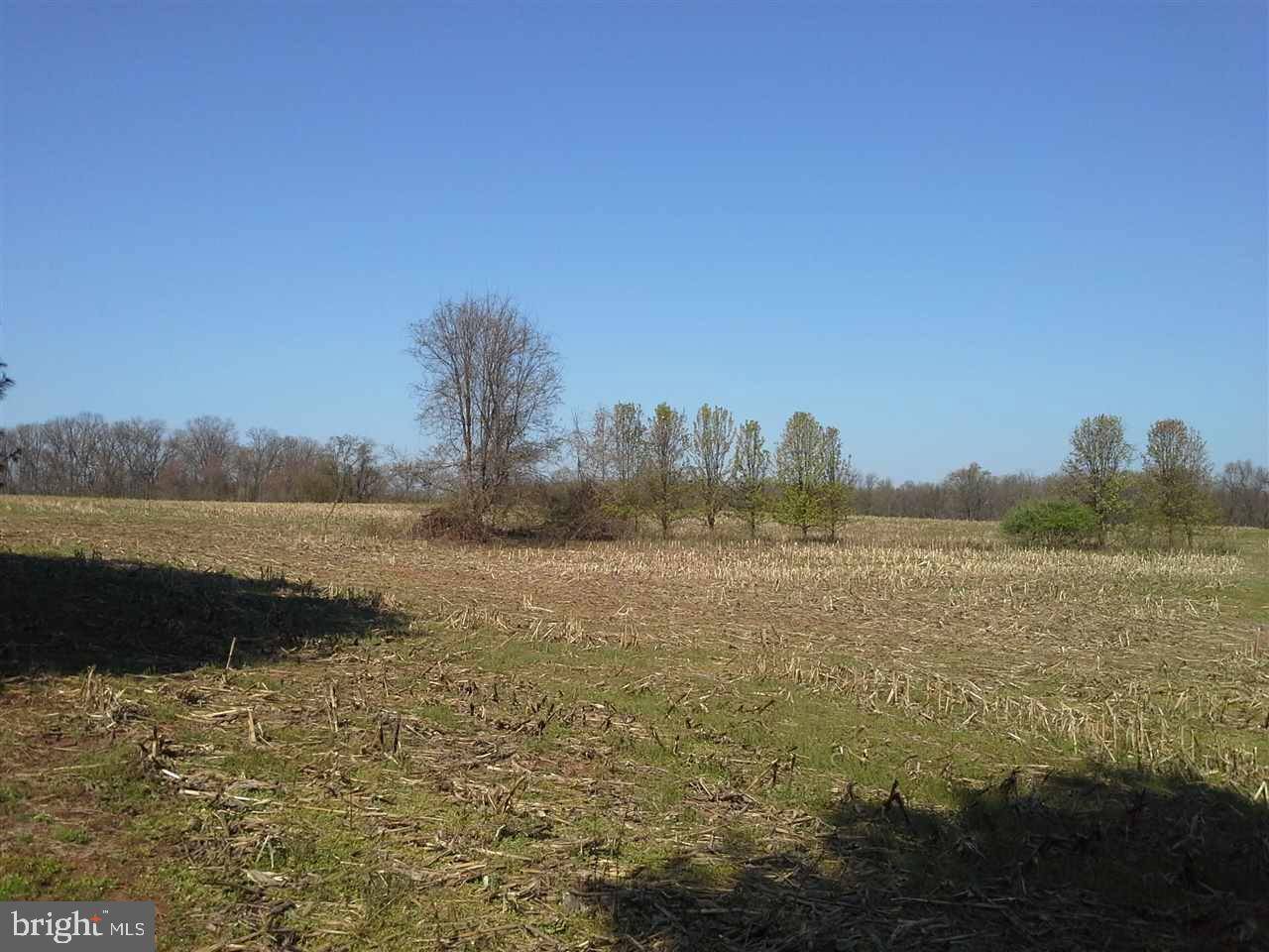 Etters, PA 17319,Lot #4 WHISLER RD