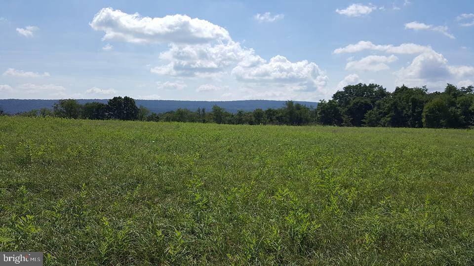 Duncannon, PA 17020,Lot 4 LINTON HL