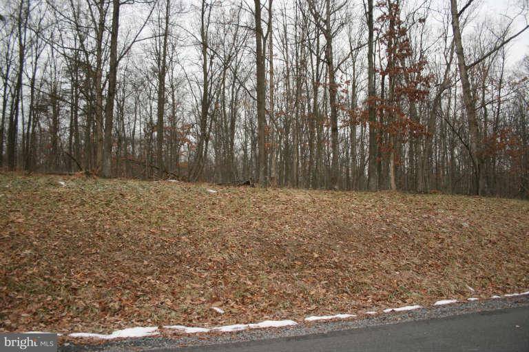 Clear Brook, VA 22624,LOT:15 CHRISTO REY DR