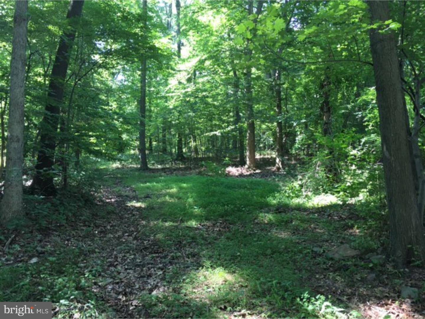 Boyertown, PA 19512,LOT 3 SANDY HILL RD