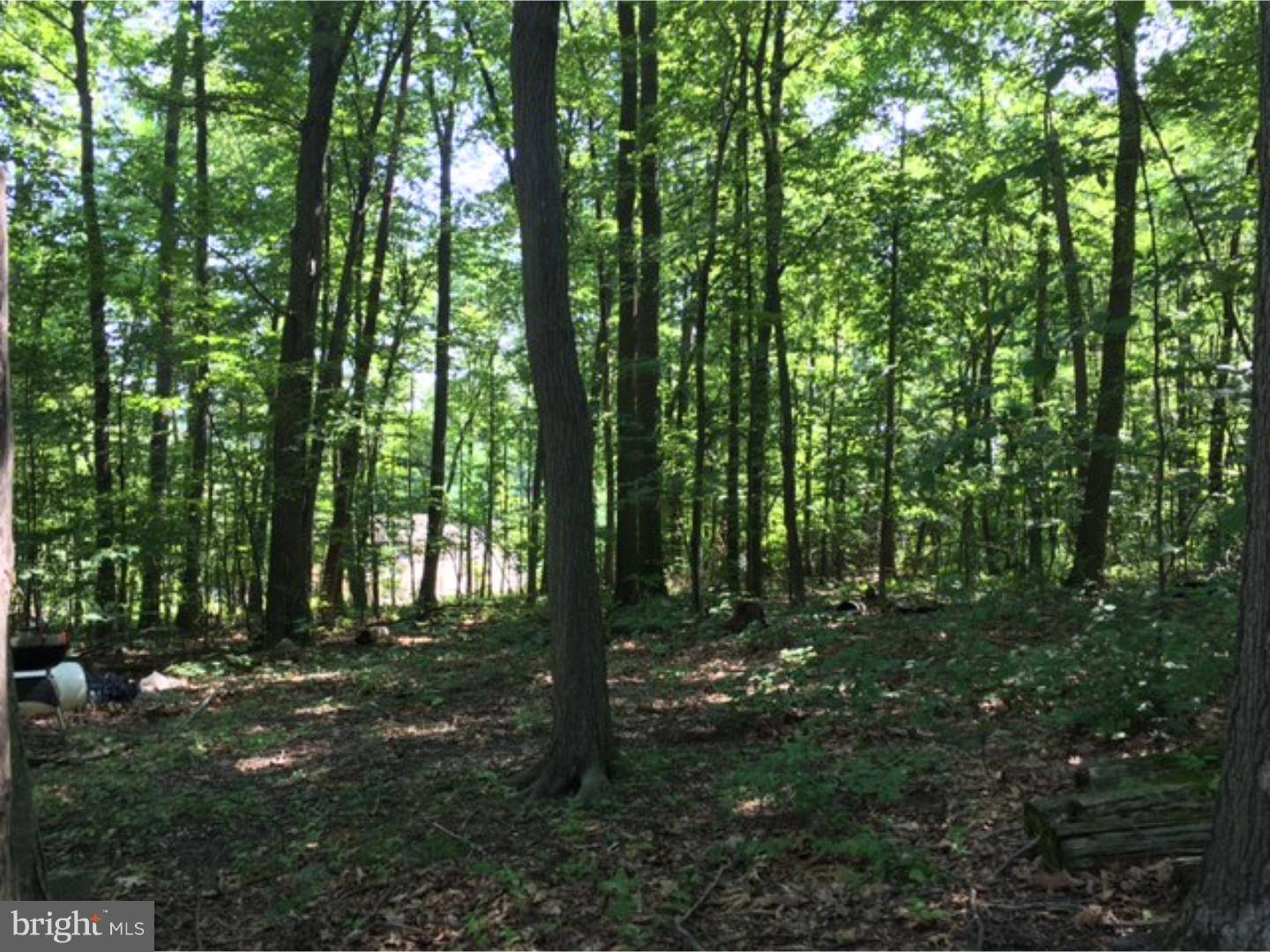 Boyertown, PA 19512,LOT 3 SANDY HILL RD