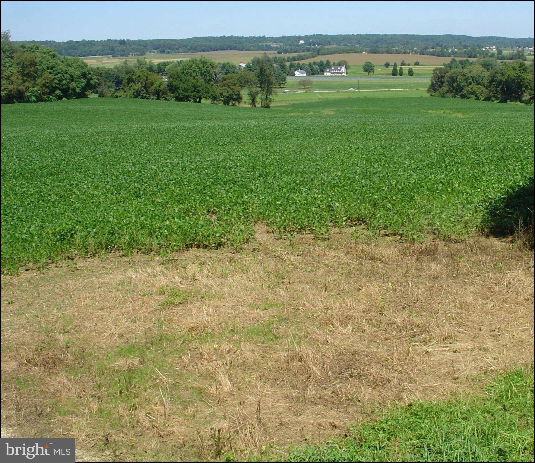 Glen Arm, MD 21057,LONG GREEN RD