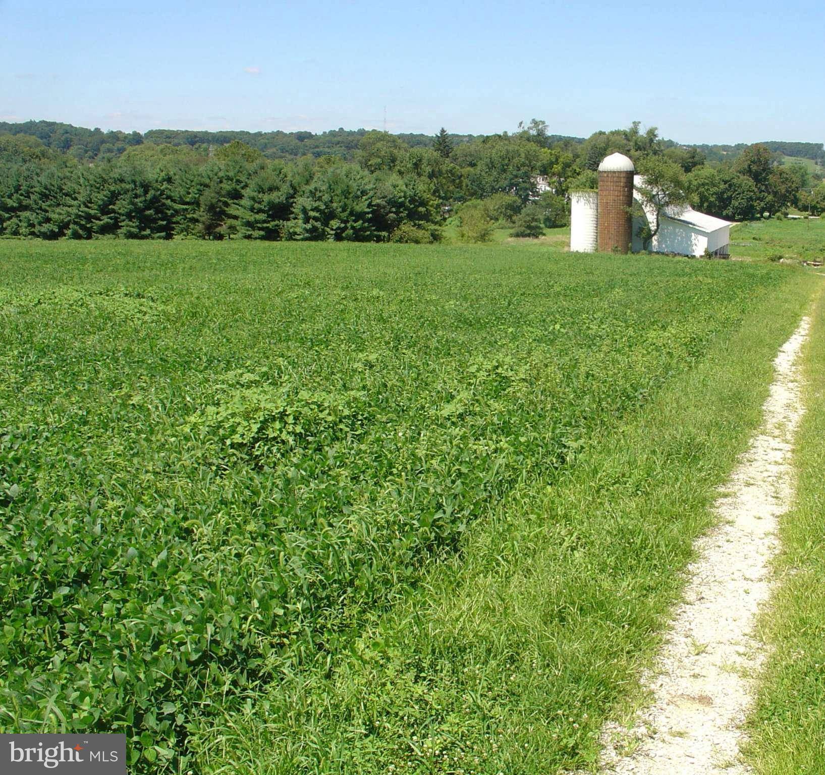 Glen Arm, MD 21057,LONG GREEN RD