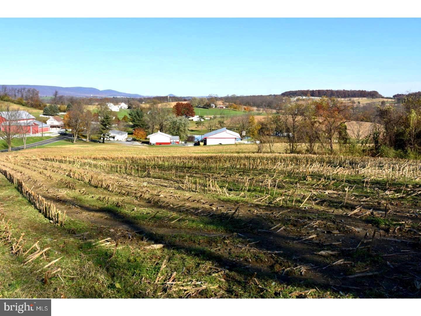 Mohrsville, PA 19541,LOT #1 NAFTZINGERTOWN RD