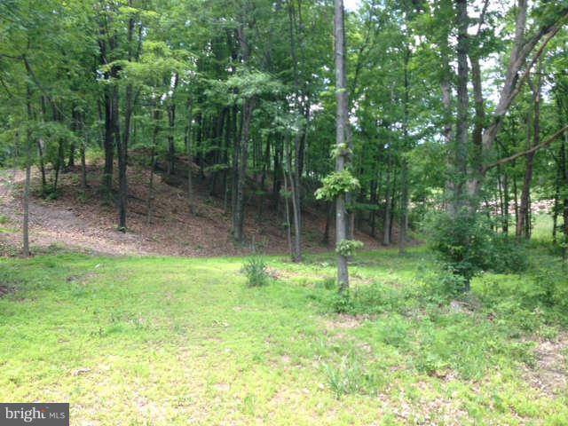 New Creek, WV 26743,LOT 32 TIMBERLAKE ESTATES