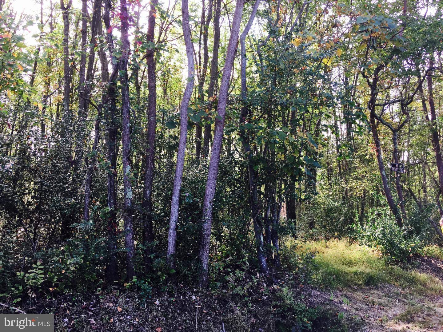 Pipersville, PA 18947,LOT 0 TOLLGATE RD