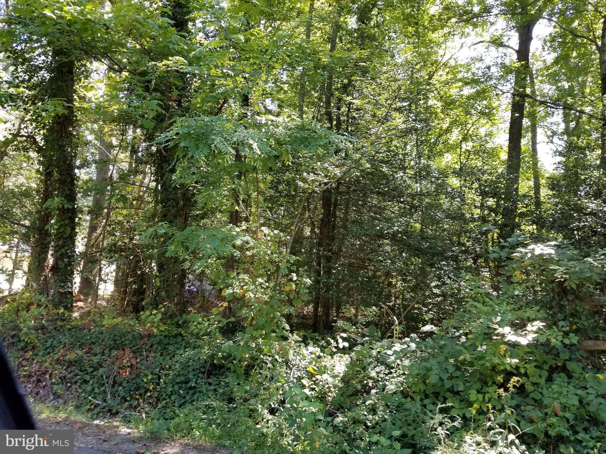 Colonial Beach, VA 22443,0 11TH LOT 59 ST