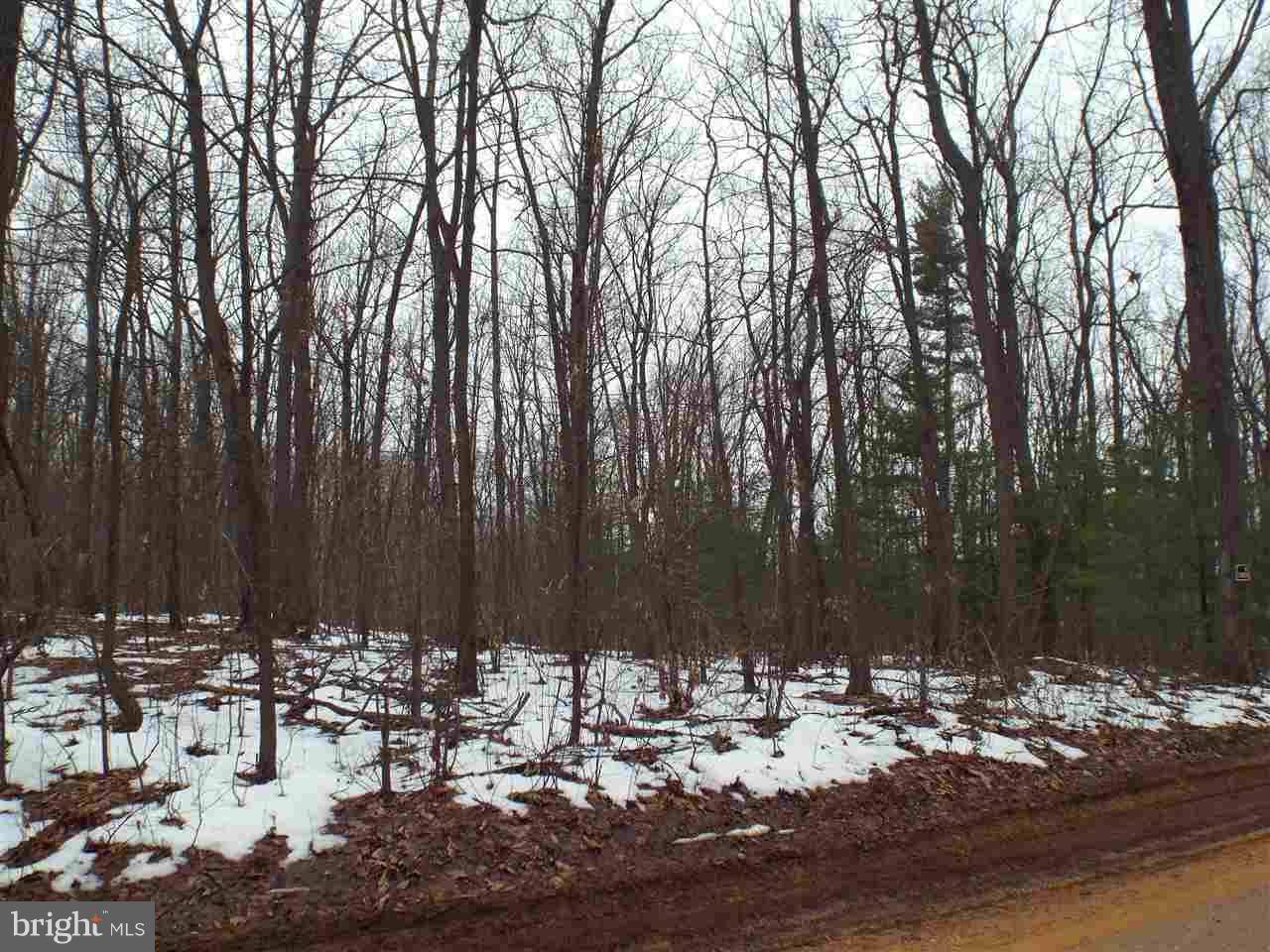 Hanover, PA 17331,LOT 11 GREEN SPRINGS RD