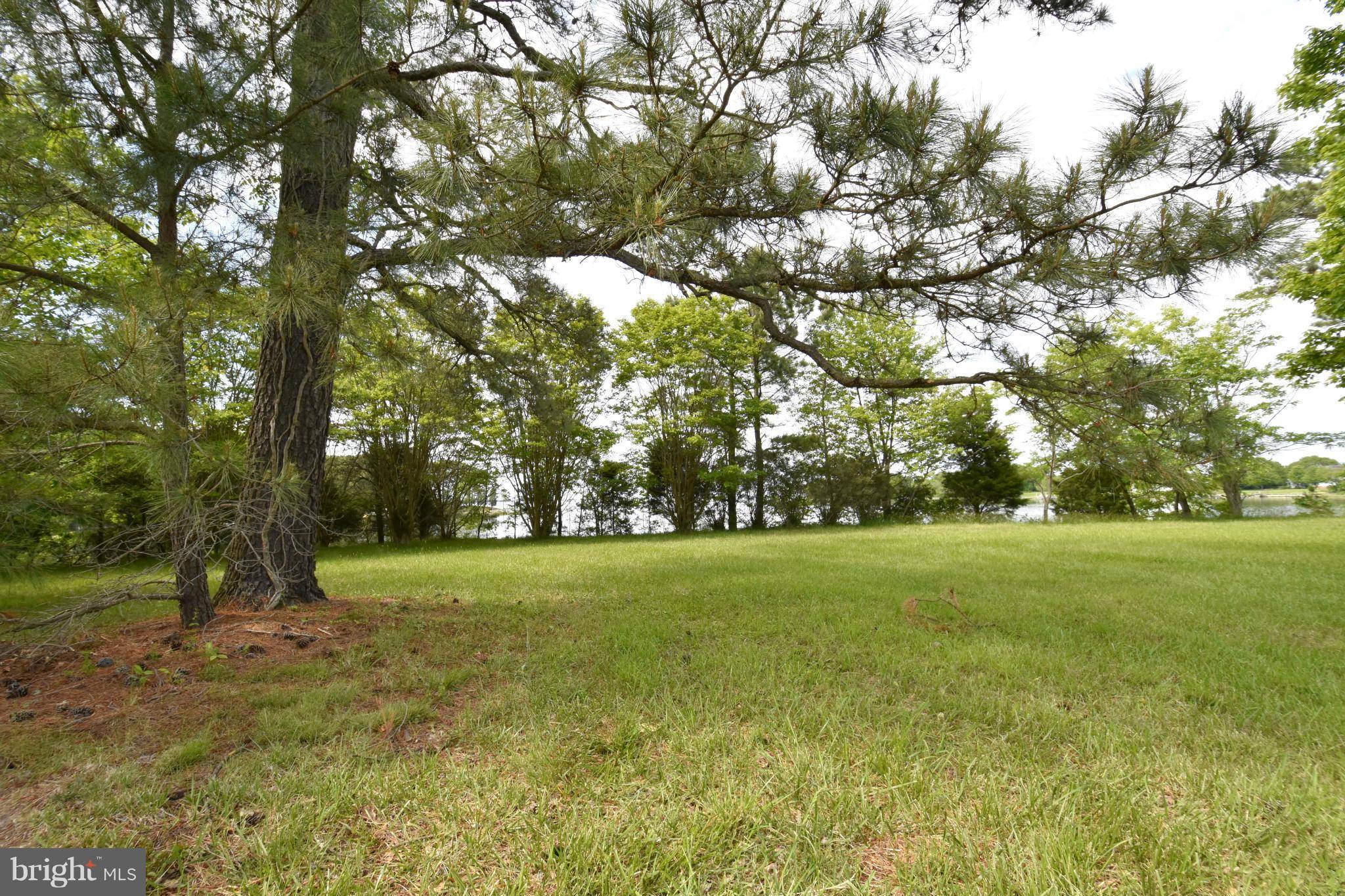 Saint Michaels, MD 21663,LOT 1 - MELANIE DR