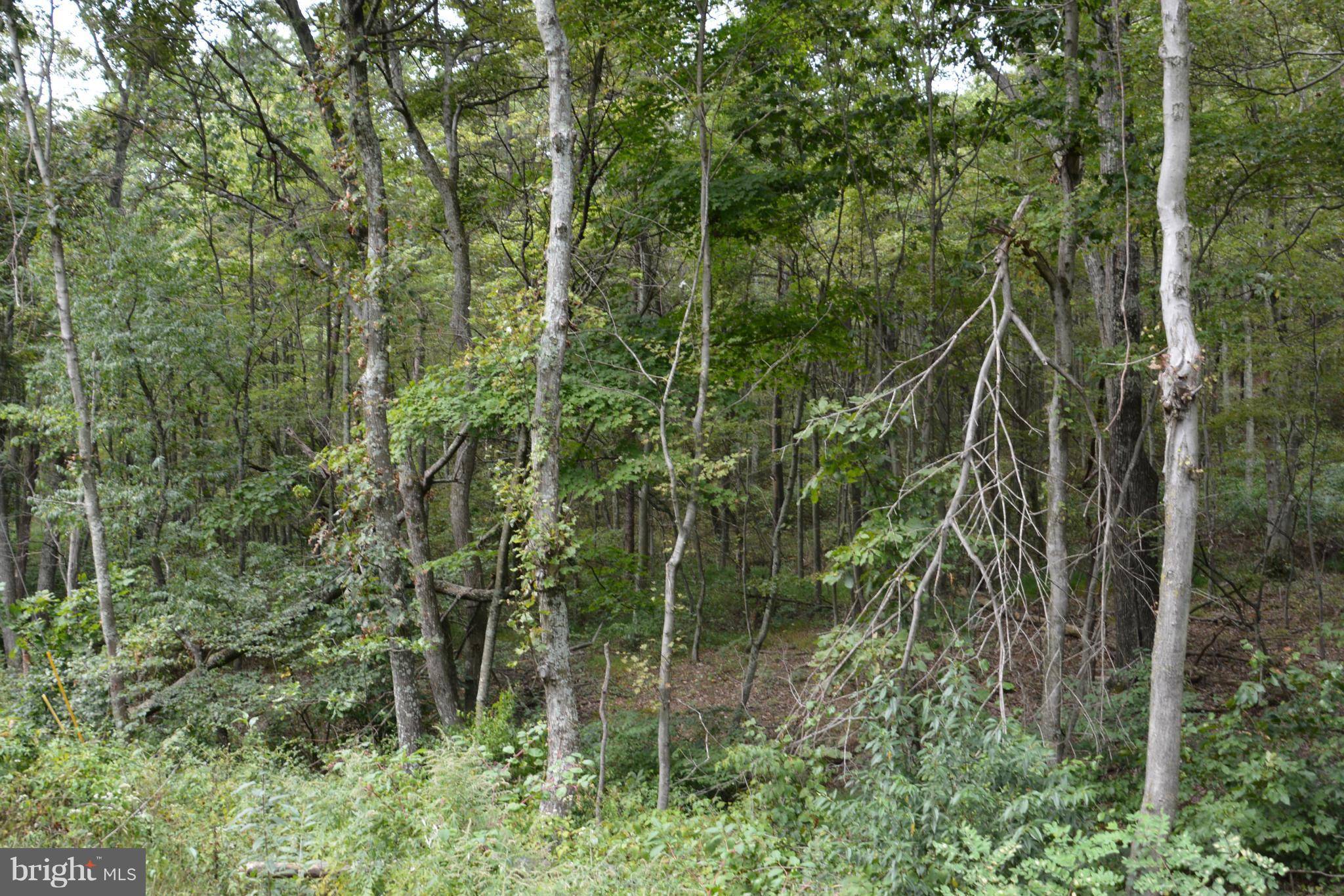 Clearville, PA 15535,LOT 14 PINE RIDGE ROAD