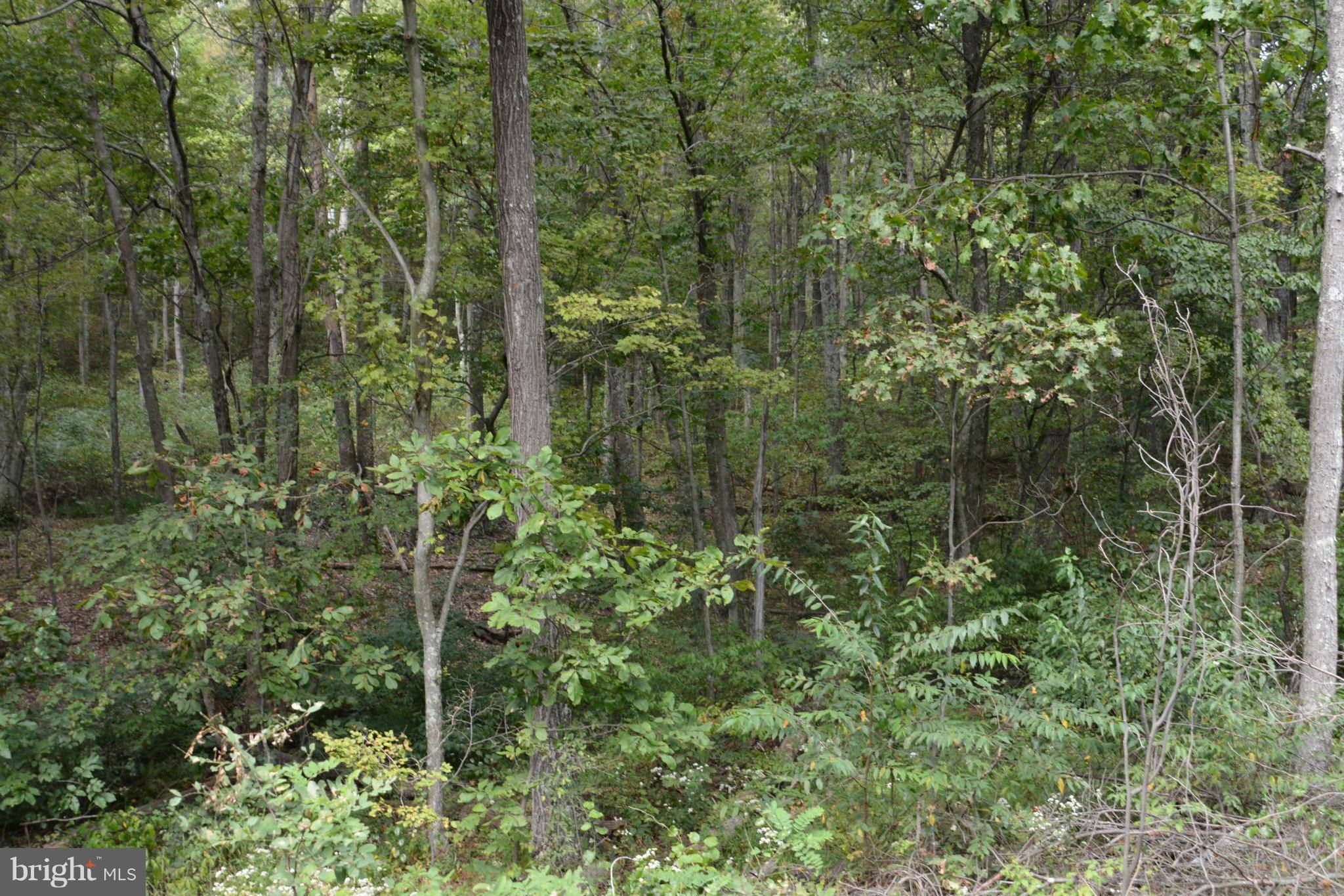 Clearville, PA 15535,LOT 14 PINE RIDGE ROAD