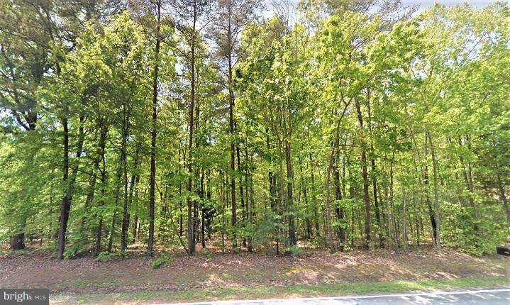 Mineral, VA 23117,-LOT 126 PINE HARBOUR DR