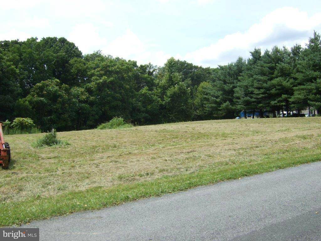 Woodstock, VA 22664,LOT 5 RIVER DR N