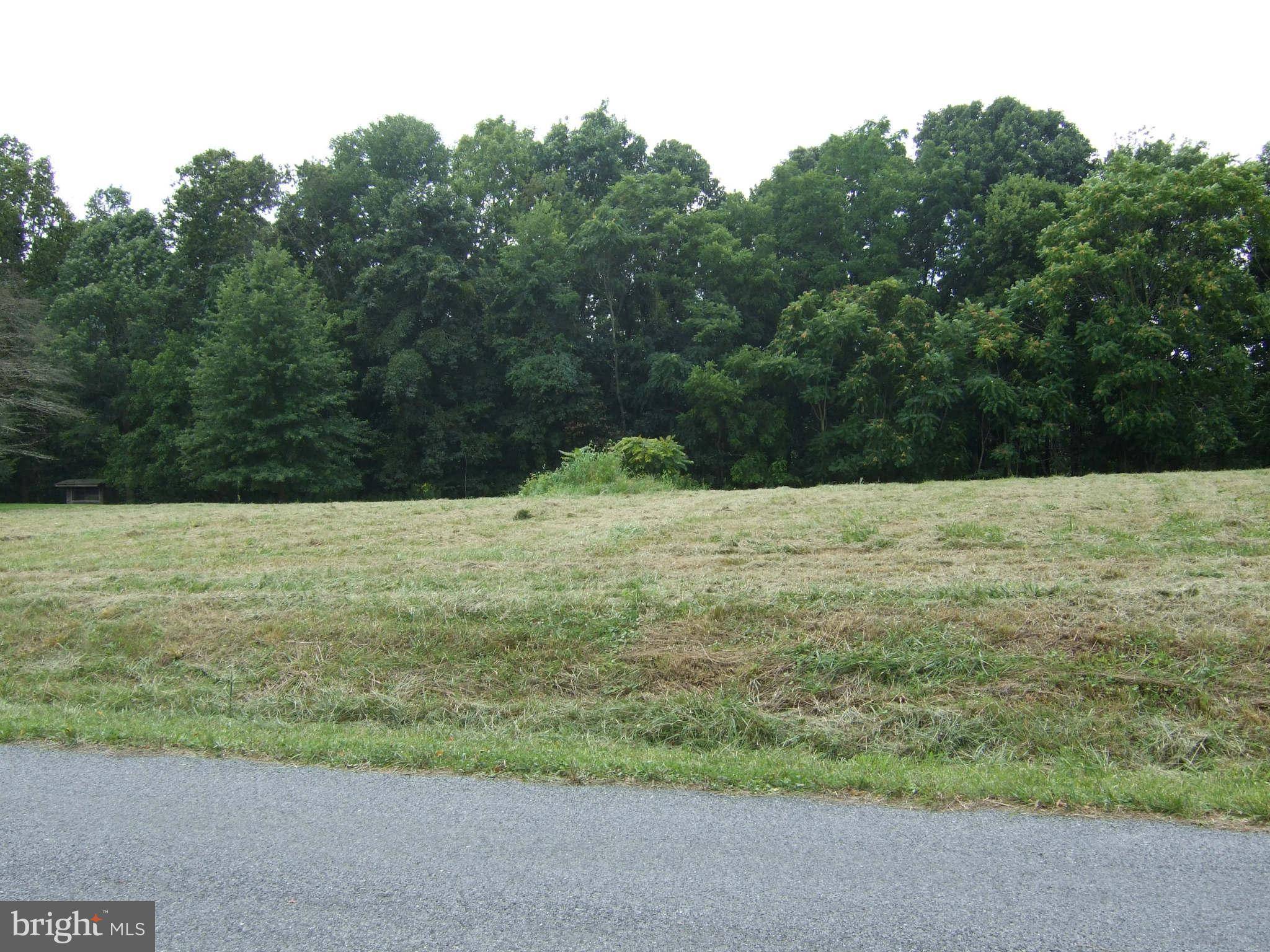 Woodstock, VA 22664,LOT 5 RIVER DR N