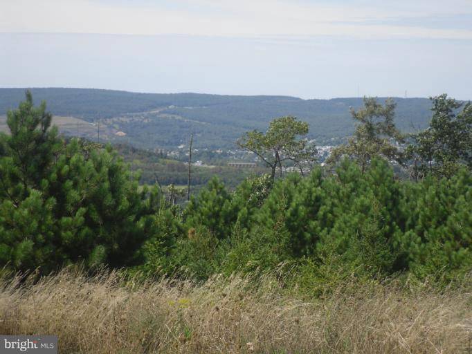 Frostburg, MD 21532,LOT 13 SUMMIT CIR