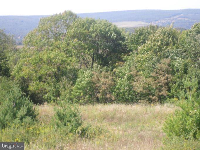 Frostburg, MD 21532,LOT 13 SUMMIT CIR