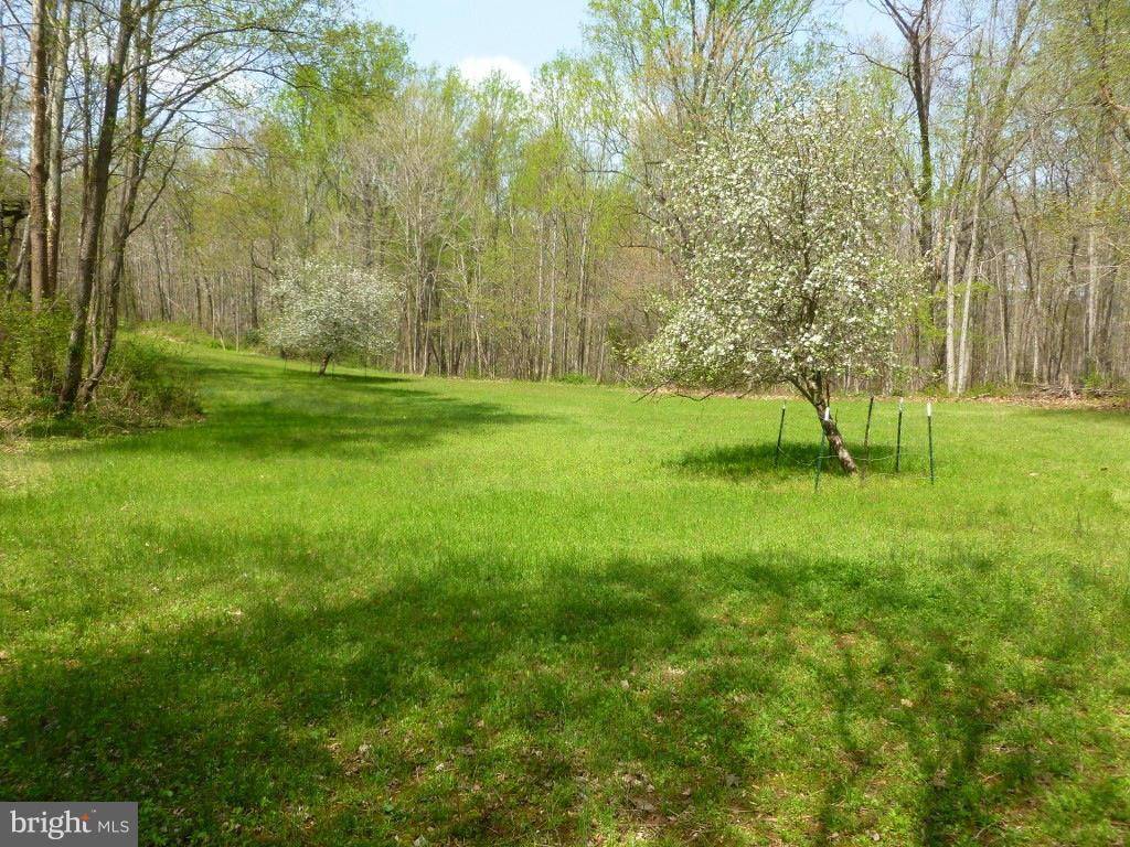 Delaplane, VA 20144,10360 WILLOW HILL RD