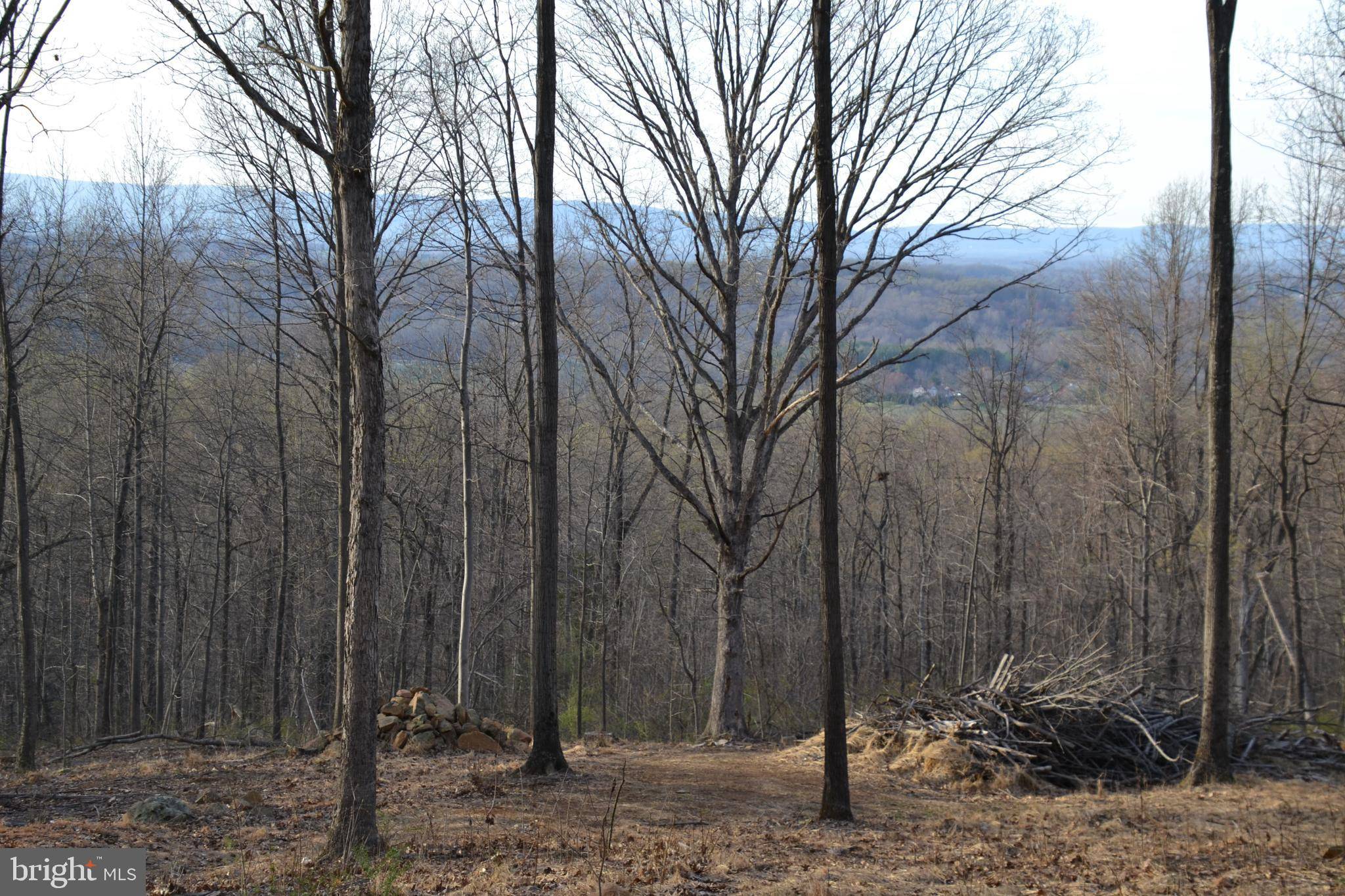 The Plains, VA 20198,BUST HEAD RD