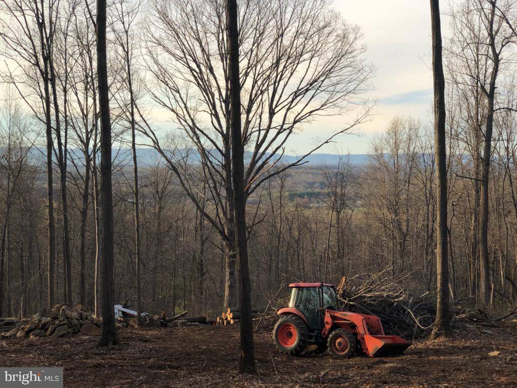 The Plains, VA 20198,BUST HEAD RD