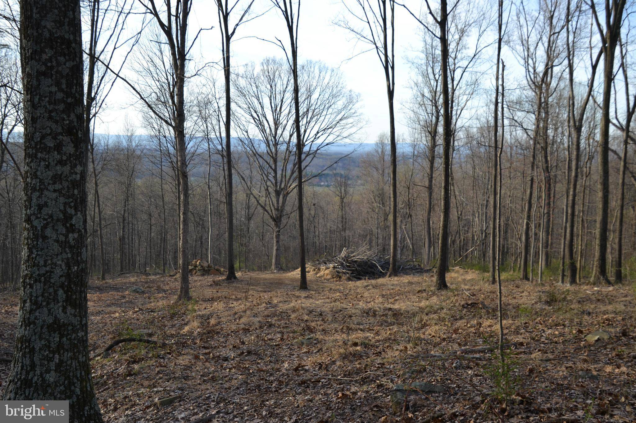 The Plains, VA 20198,BUST HEAD RD