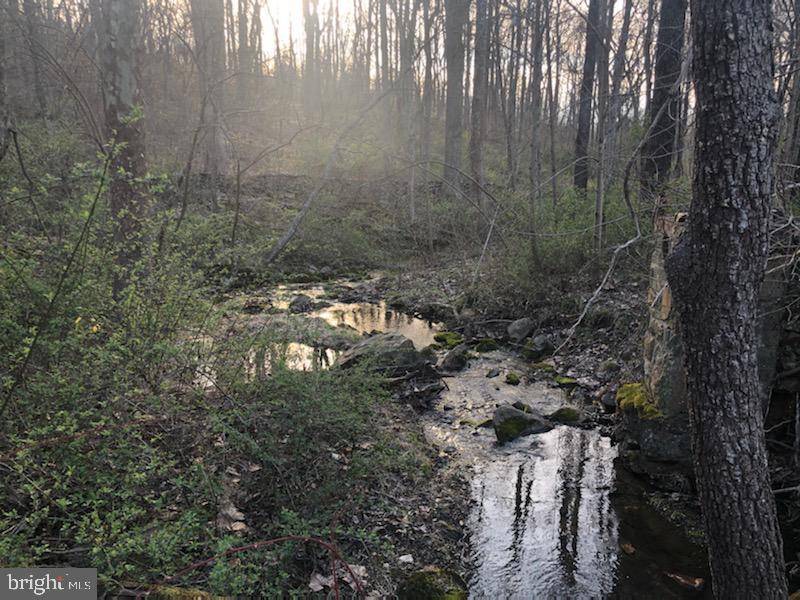 The Plains, VA 20198,BUST HEAD RD