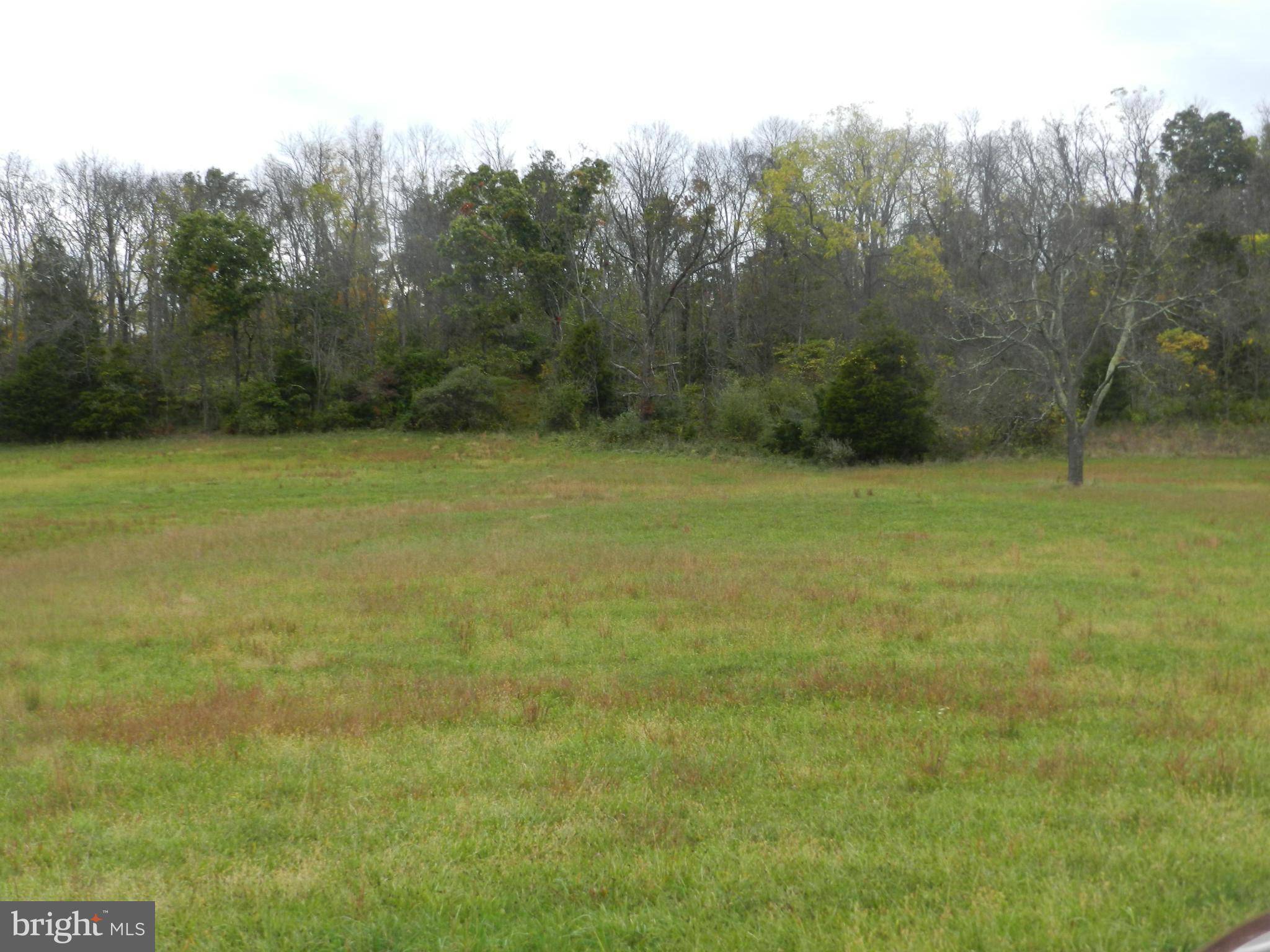 Winchester, VA 22602,LOT 3 BACK MOUNTAIN RD