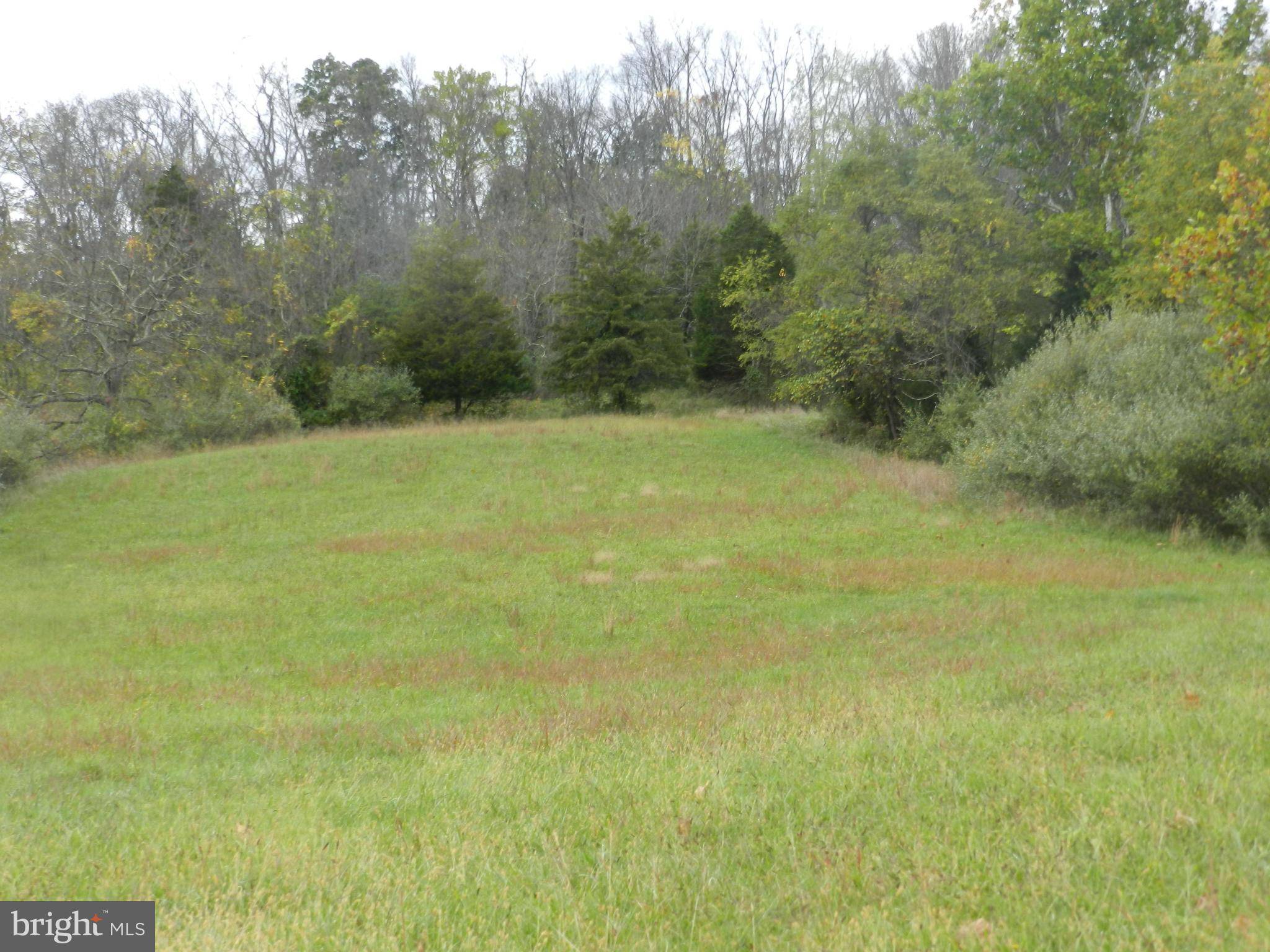 Winchester, VA 22602,LOT 4 BACK MOUNTAIN RD