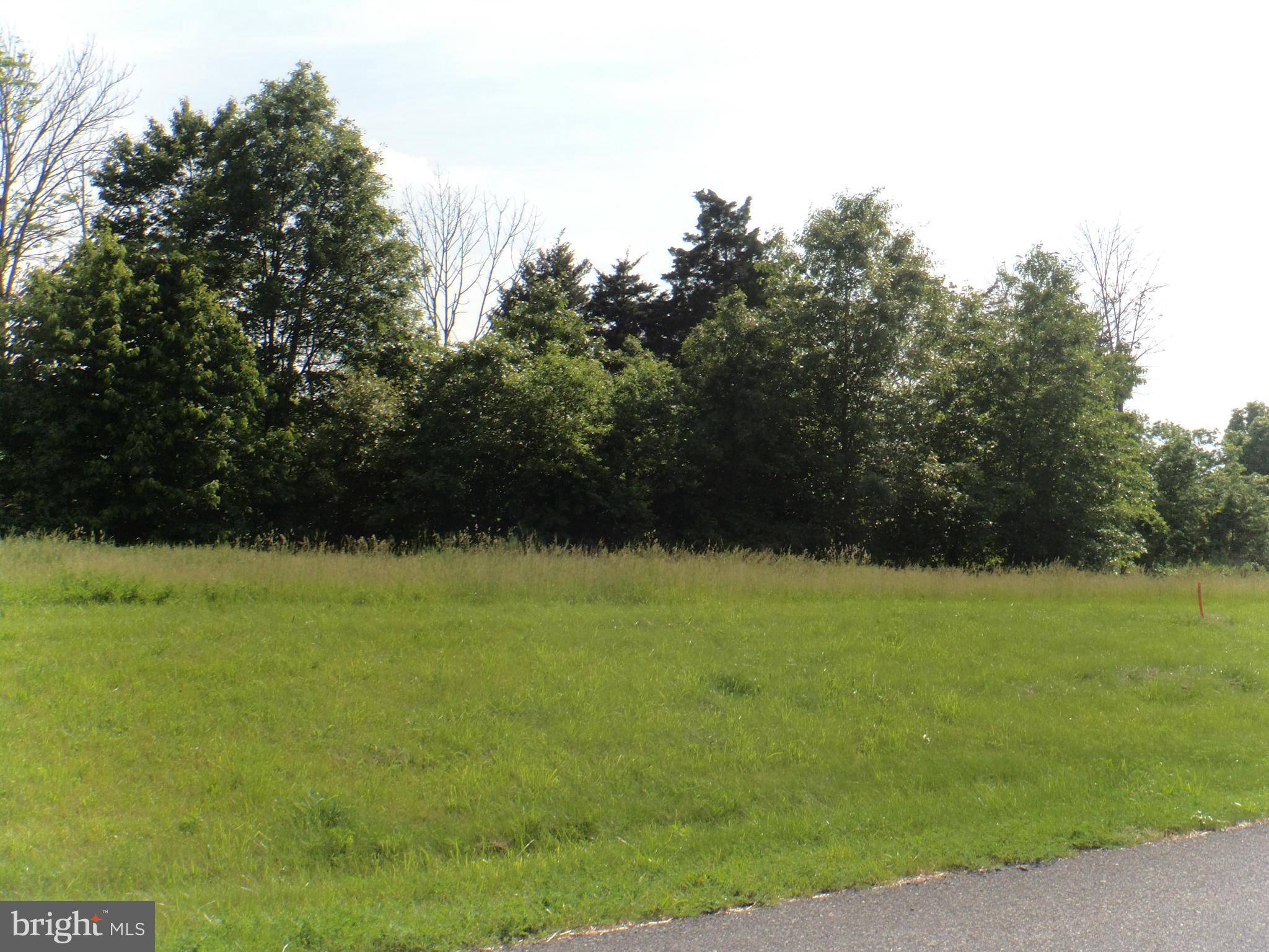 Greencastle, PA 17225,-LOT 40 GRANT SHOOK RD