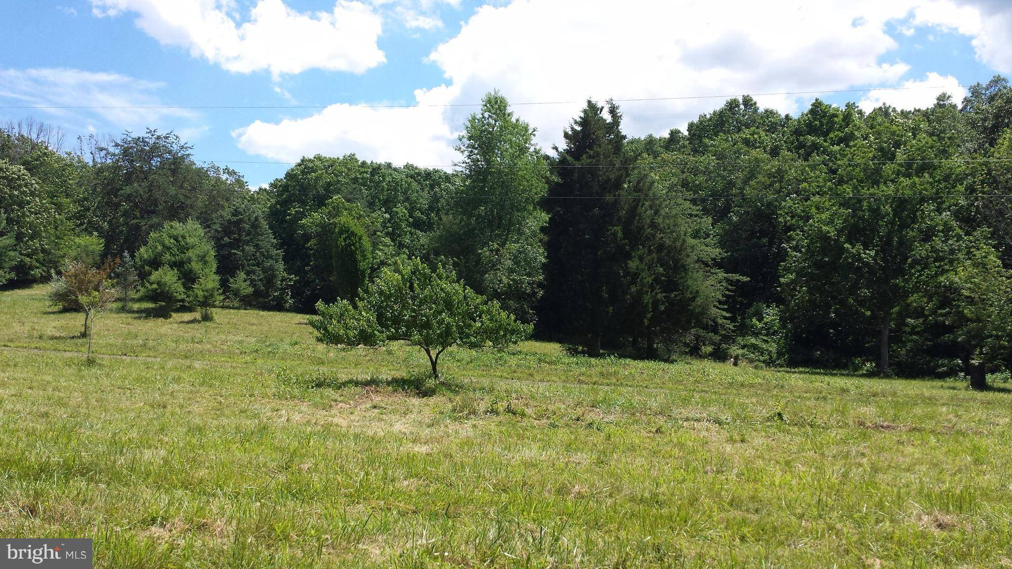 Old Fields, WV 26845,WEST BROOK ROAD LOT C