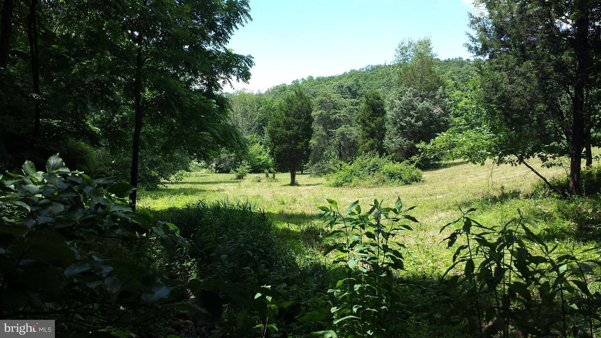 Old Fields, WV 26845,WEST BROOK ROAD LOT C