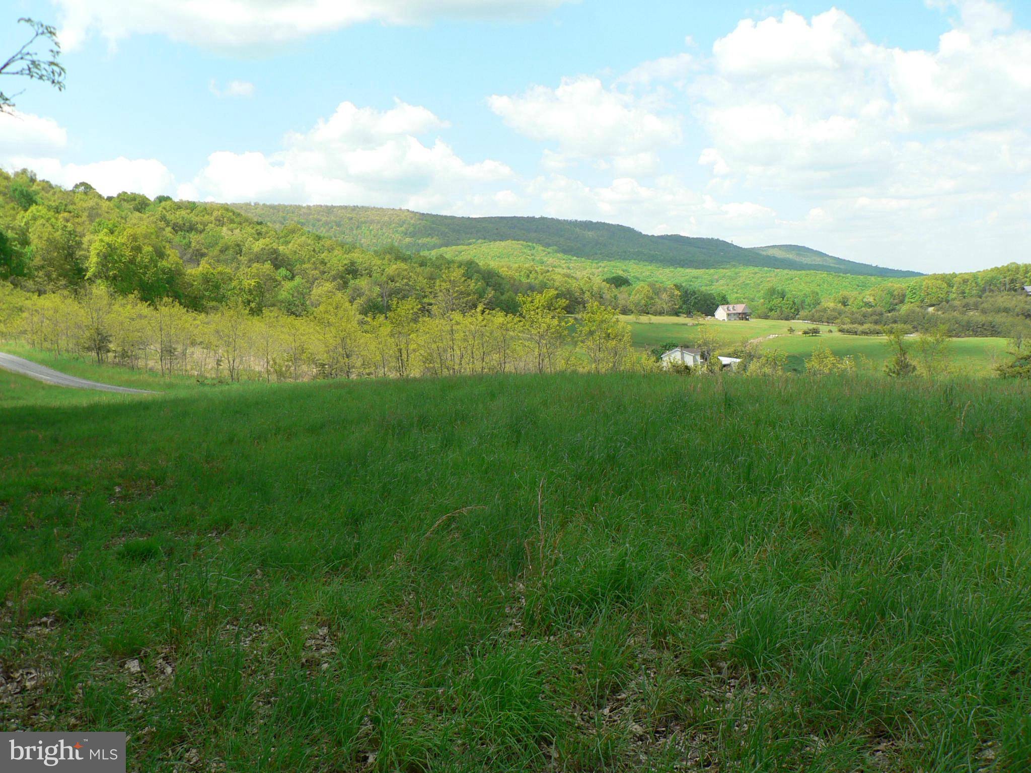 Moorefield, WV 26836,-LOT 2 TOP OF THE MOUNTAIN RD