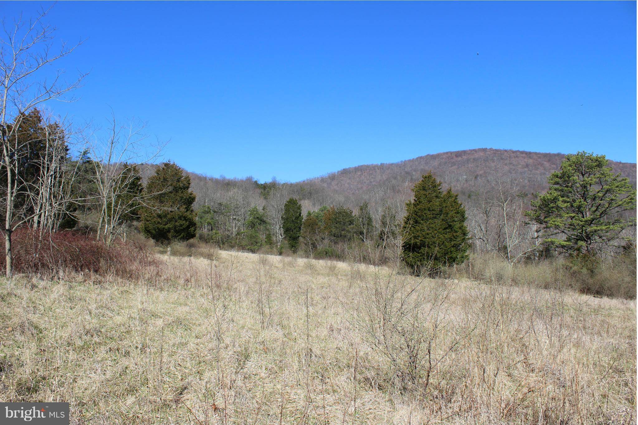 Old Fields, WV 26845,SHOCKEY RD