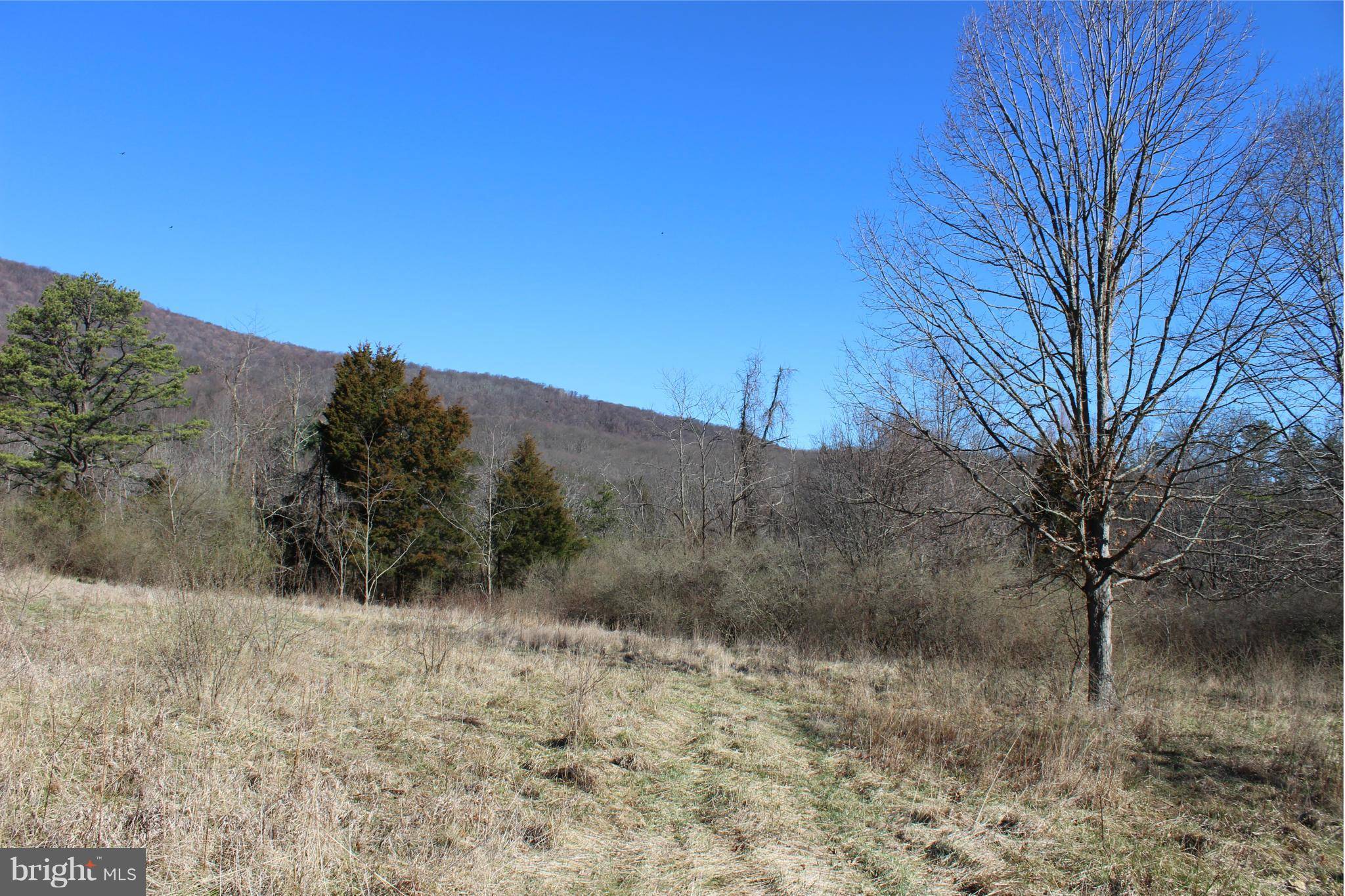 Old Fields, WV 26845,SHOCKEY RD