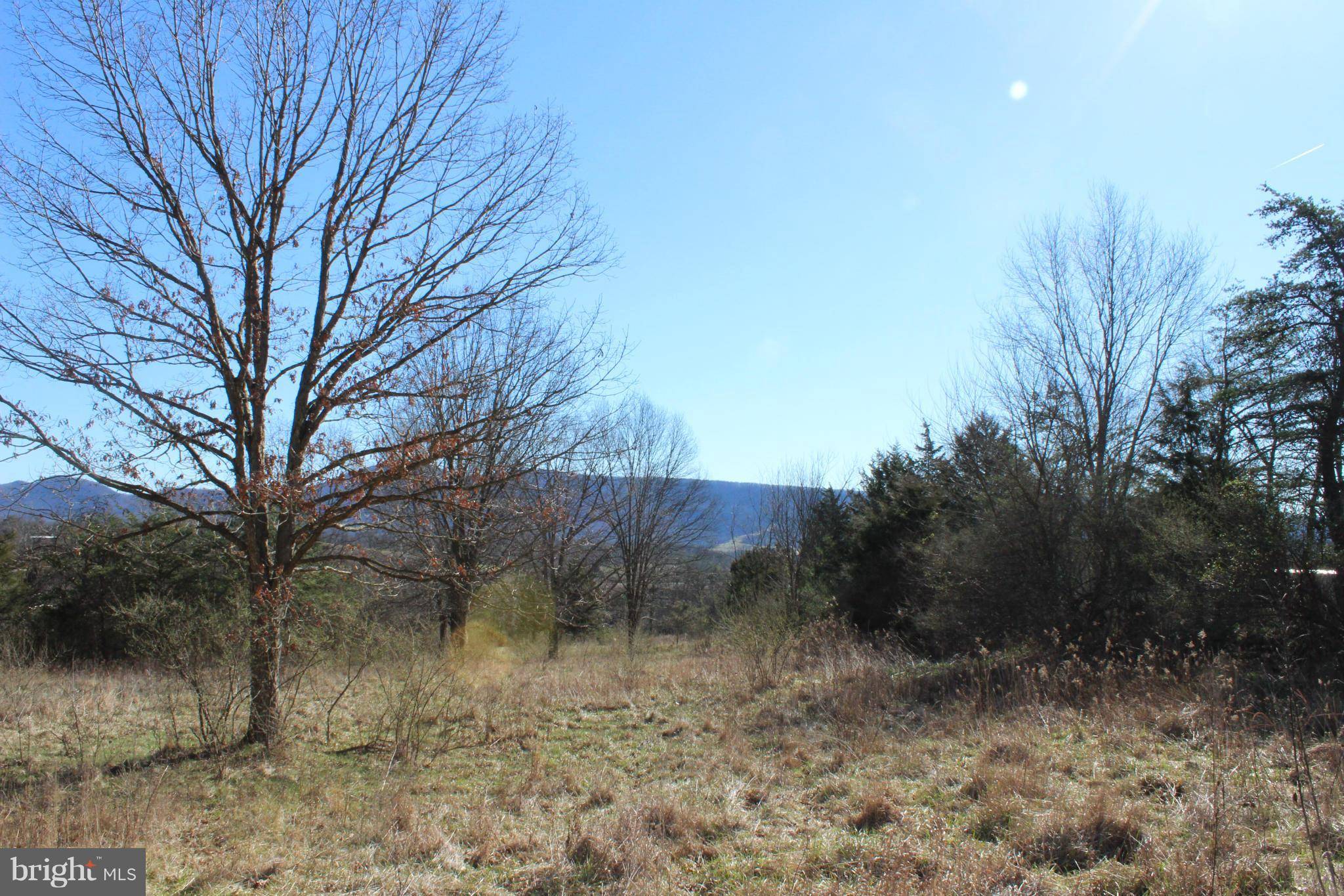 Old Fields, WV 26845,SHOCKEY RD