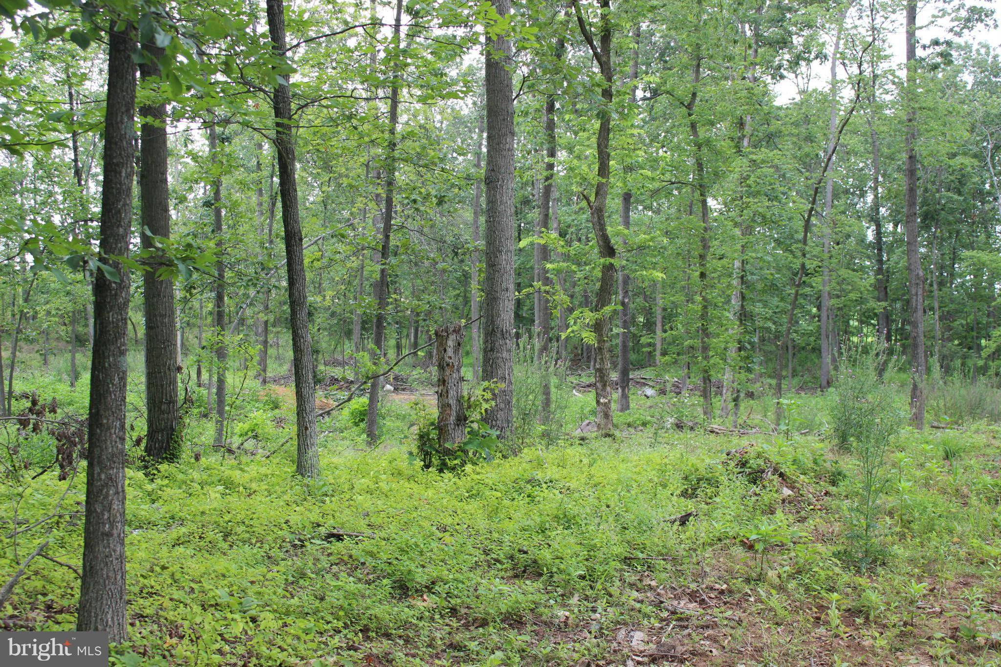 Kearneysville, WV 25430,LOT 3 OFF N CHILDS RD