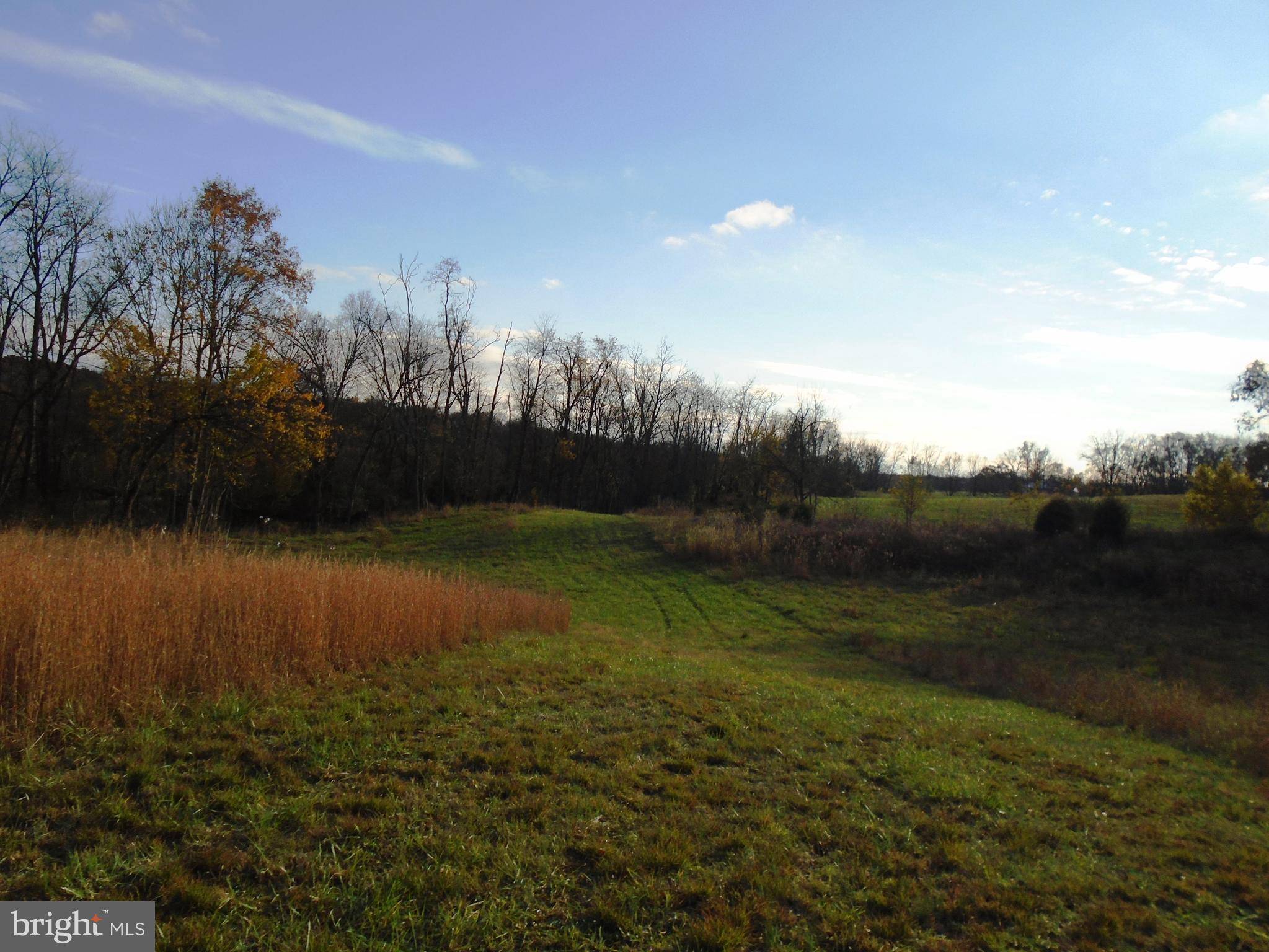 Shepherdstown, WV 25443,LOT #33 MARSH HAWK WAY