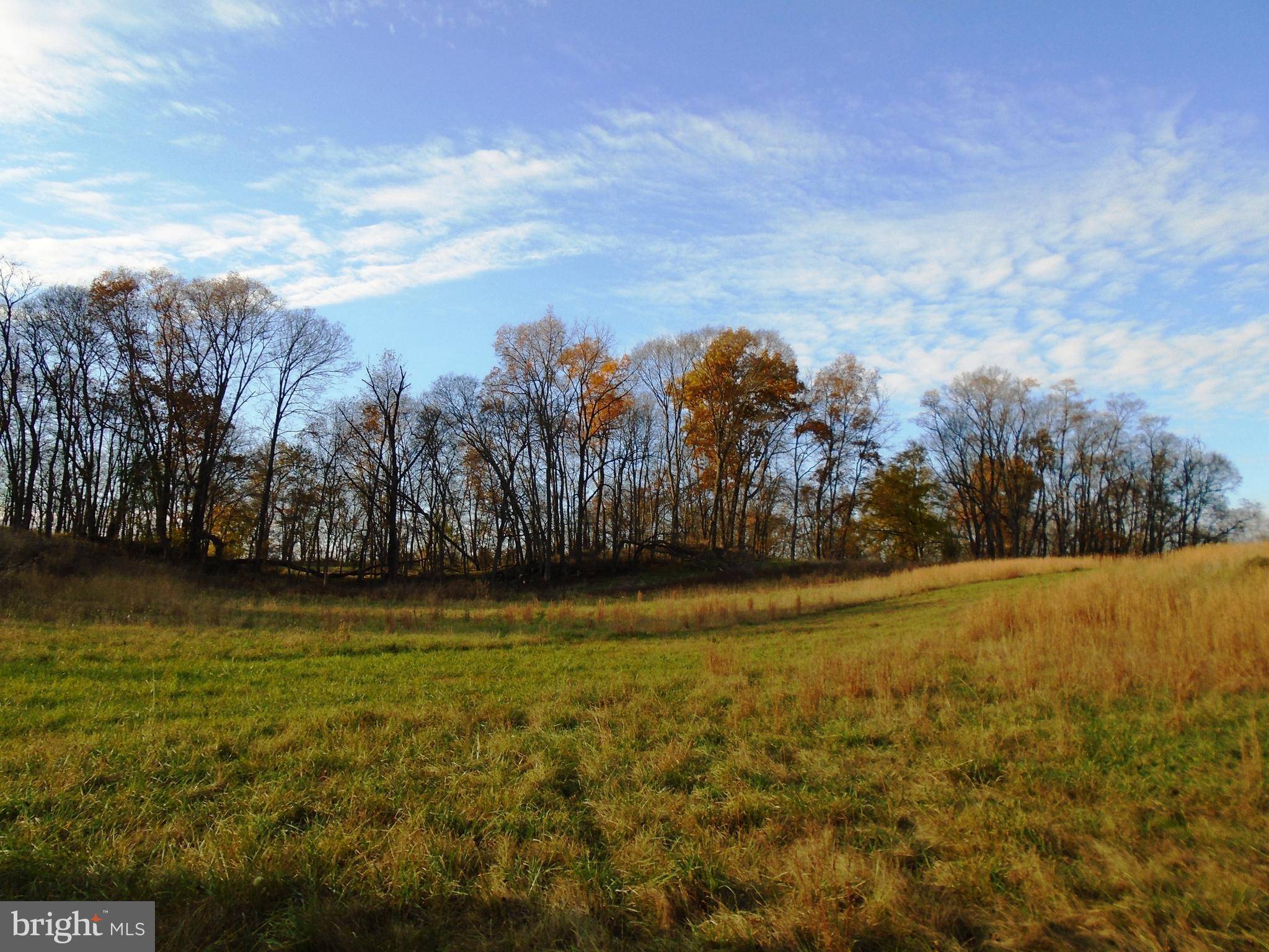 Shepherdstown, WV 25443,LOT #33 MARSH HAWK WAY