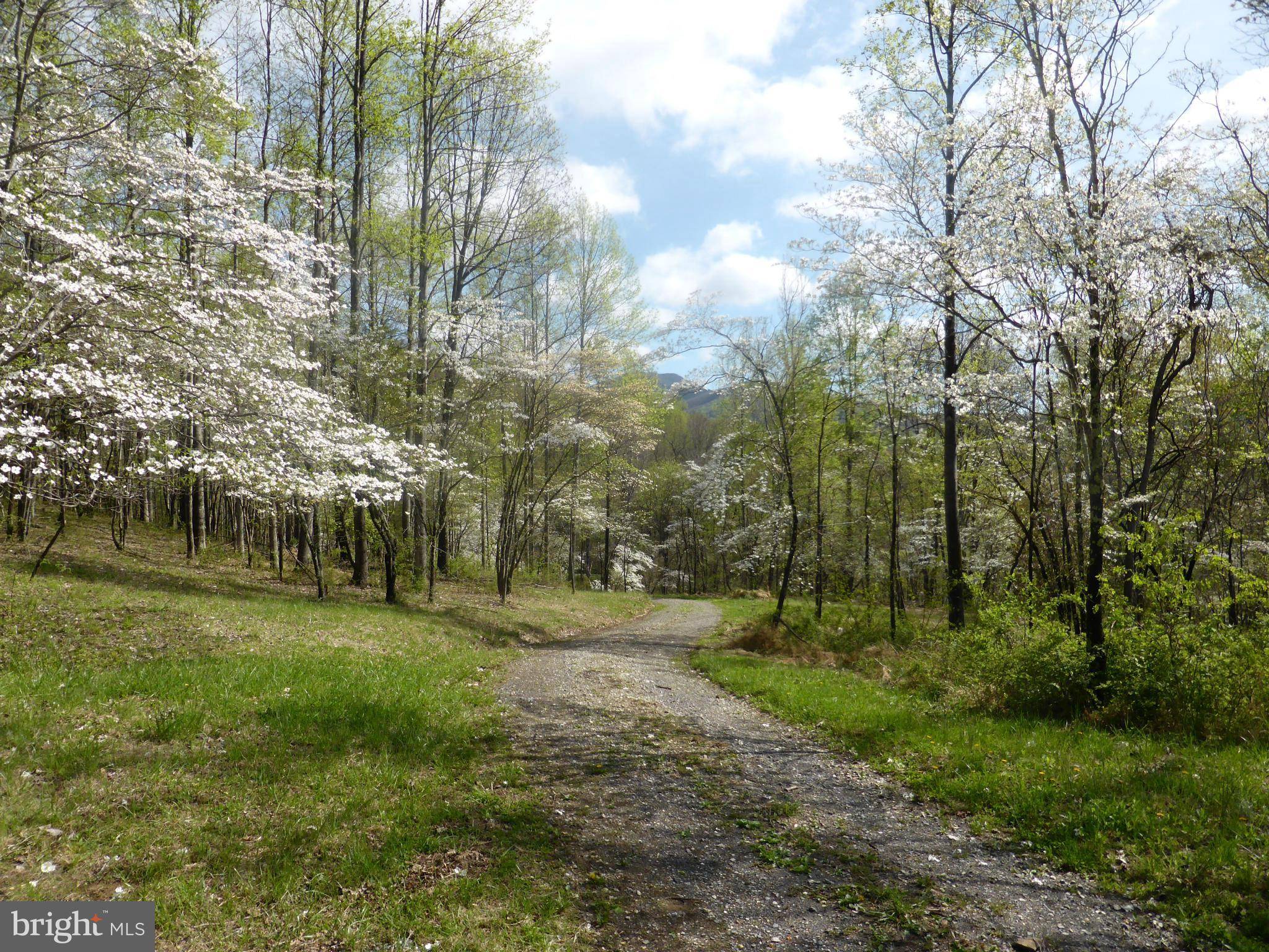 Amherst, VA 24521,425 FORKS OF BUFFALO DR