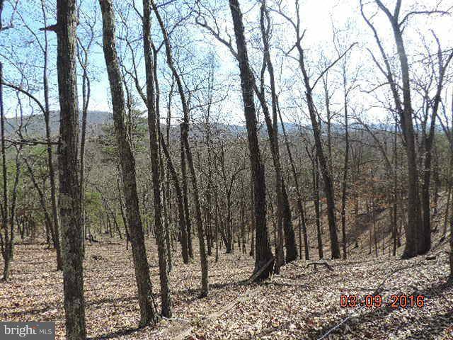 Upper Tract, WV 26866,WHITE OAK DRIVE