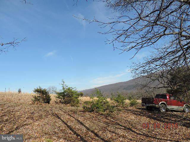 Upper Tract, WV 26866,WHITE OAK DRIVE