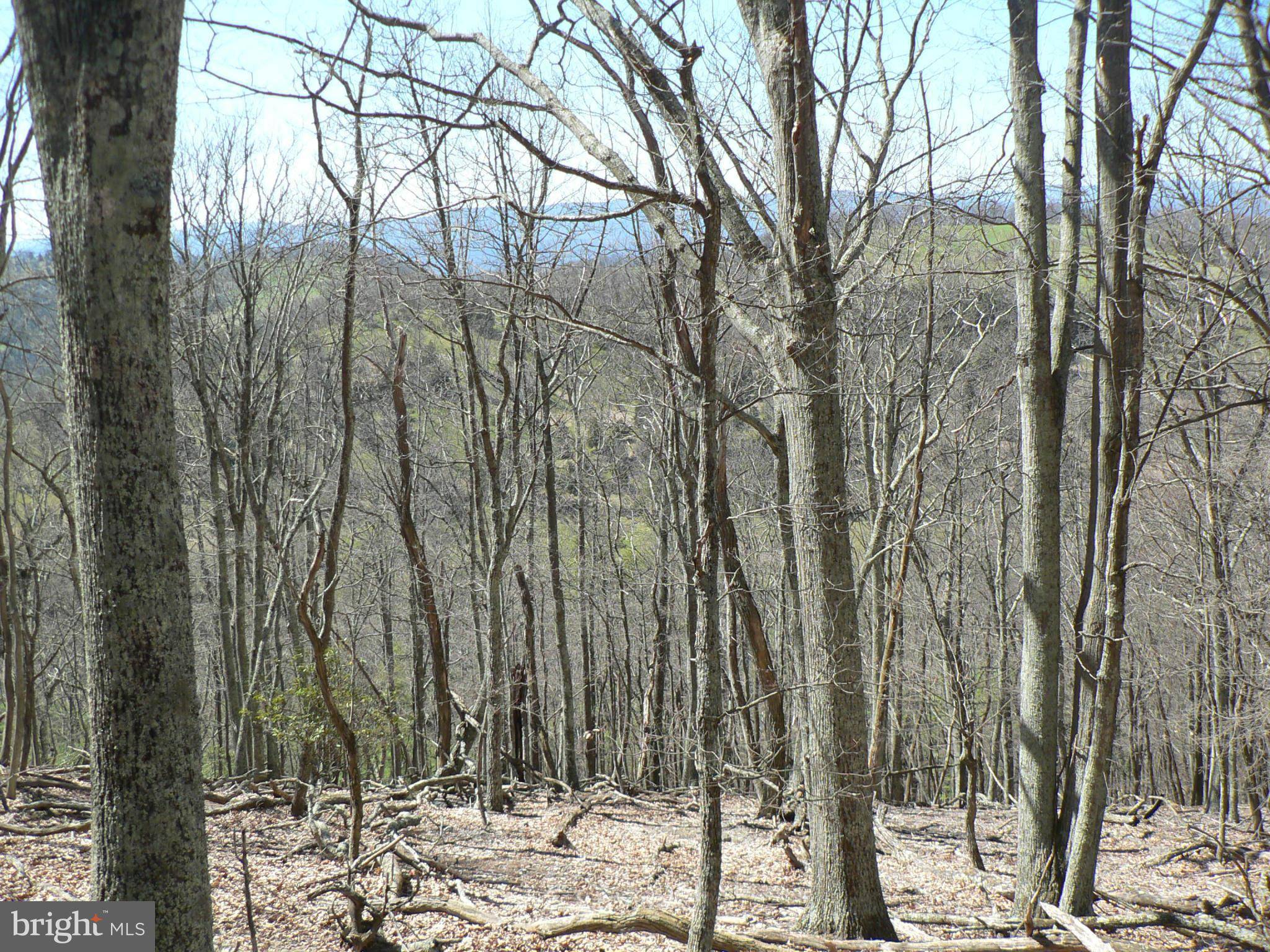 Upper Tract, WV 26866,37 ACS GREENWALT GAP