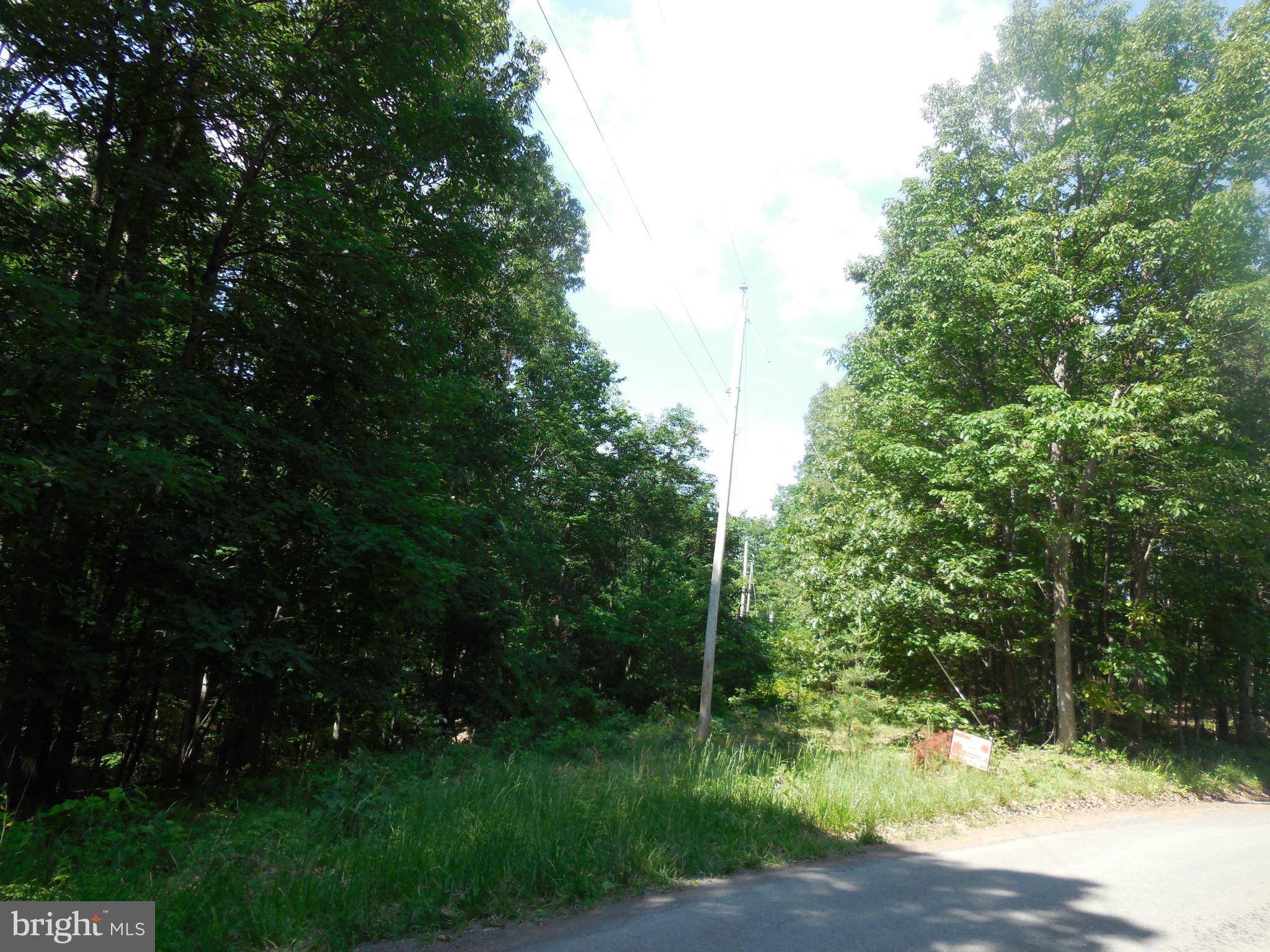 Berkeley Springs, WV 25411,DUCKWALL ROAD